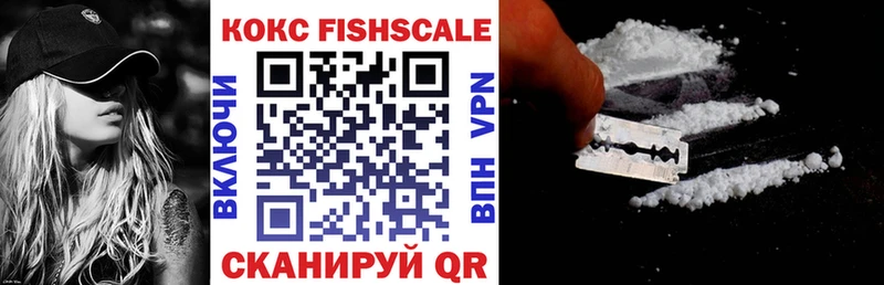 где купить наркоту  Жуков  Кокаин Fish Scale 