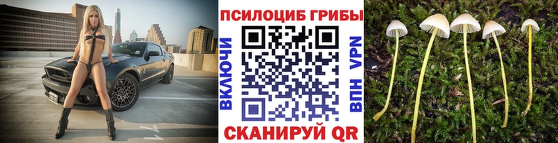 дарнет шоп  даркнет состав  Псилоцибиновые грибы прущие грибы  Жуков 