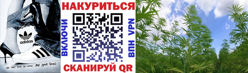 мега ONION  Жуков  Канабис OG Kush  продажа наркотиков 